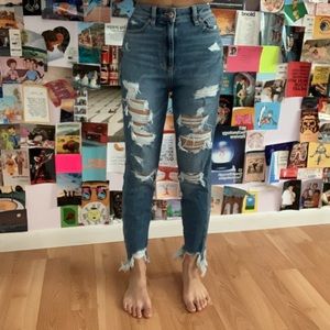 AE Ripped Skinny Jeans